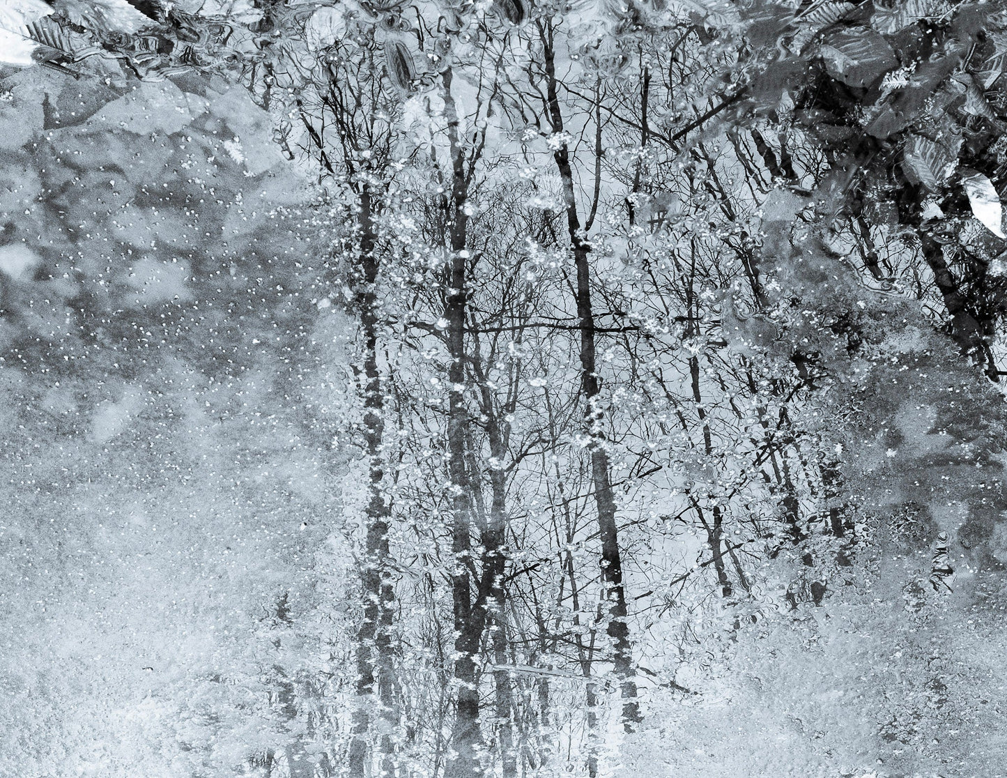 Frozen Pond Mosaic