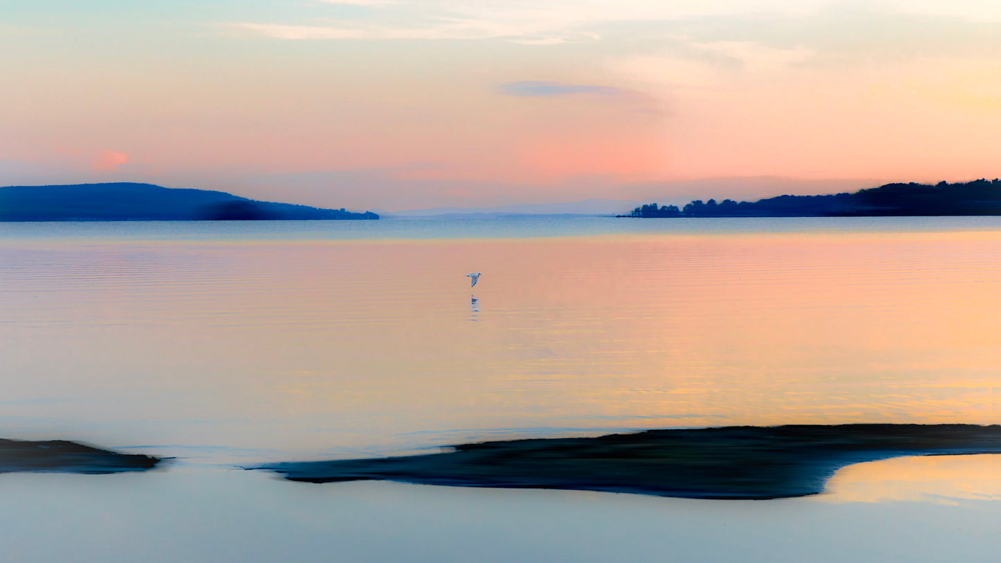 A color photograph of a lone gull in flight over a calm body of water, with a reflective surface below and a colorful sky in the background.
