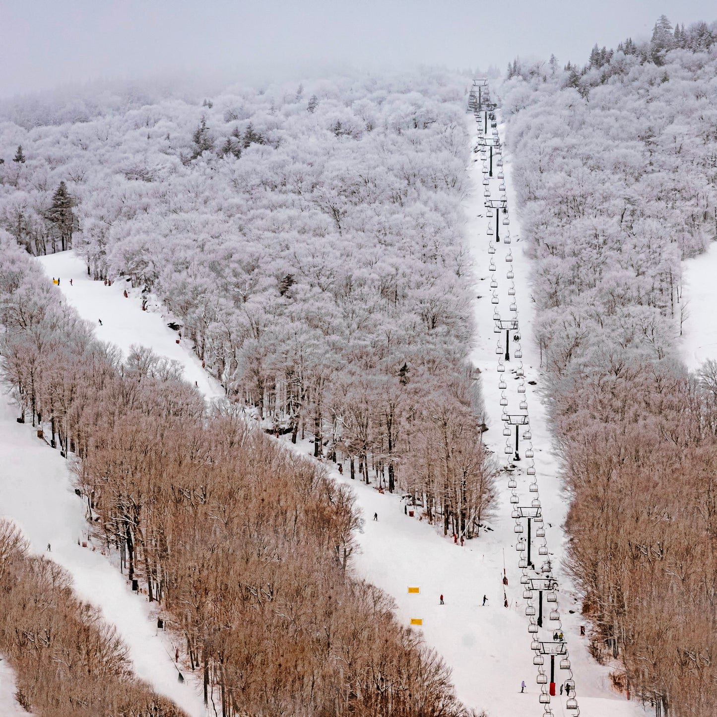 Aerial view of a snowy mountain ski area with a long lift line, ski slopes, and a forest covered in white snow and light brown branches under a misty sky.