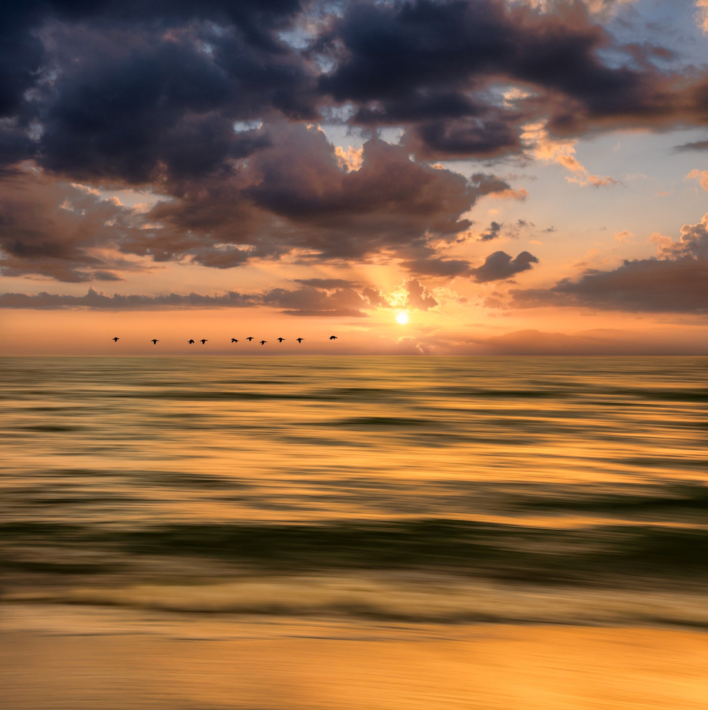 An abstract horizontal motion blur of a golden sunset over the Gulf of Mexico with a line of black birds flying across the hazy horizon.