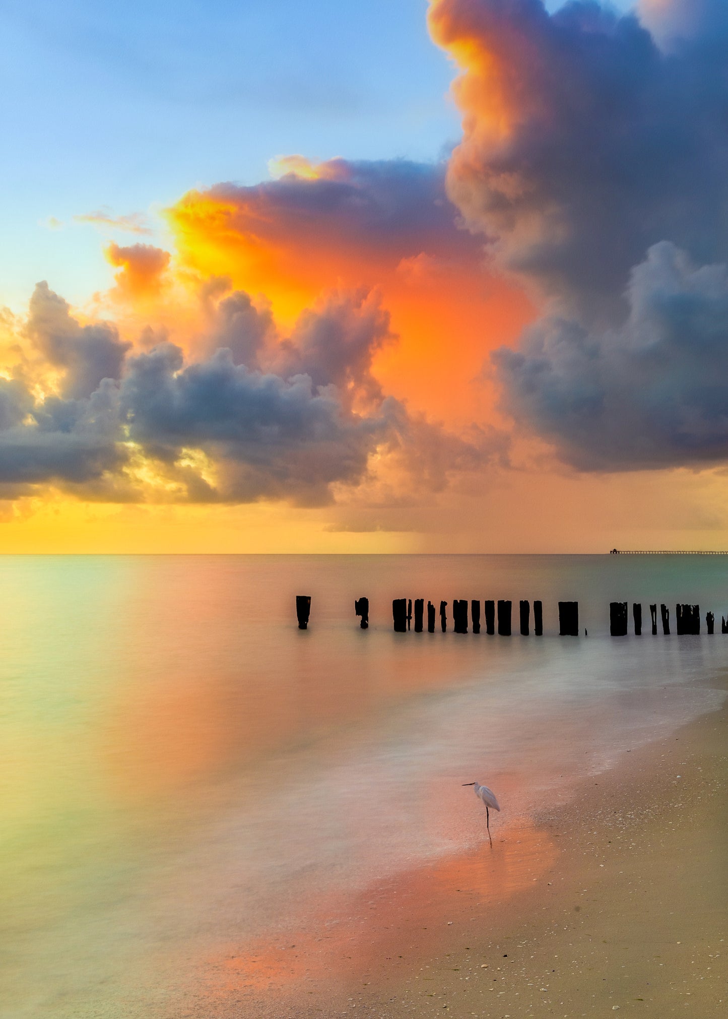 A scenic beach sunset with dramatic orange and blue clouds, calm water, a line of dark pilings in the distance, and a small white Little Egret bird standing on the wet sand.