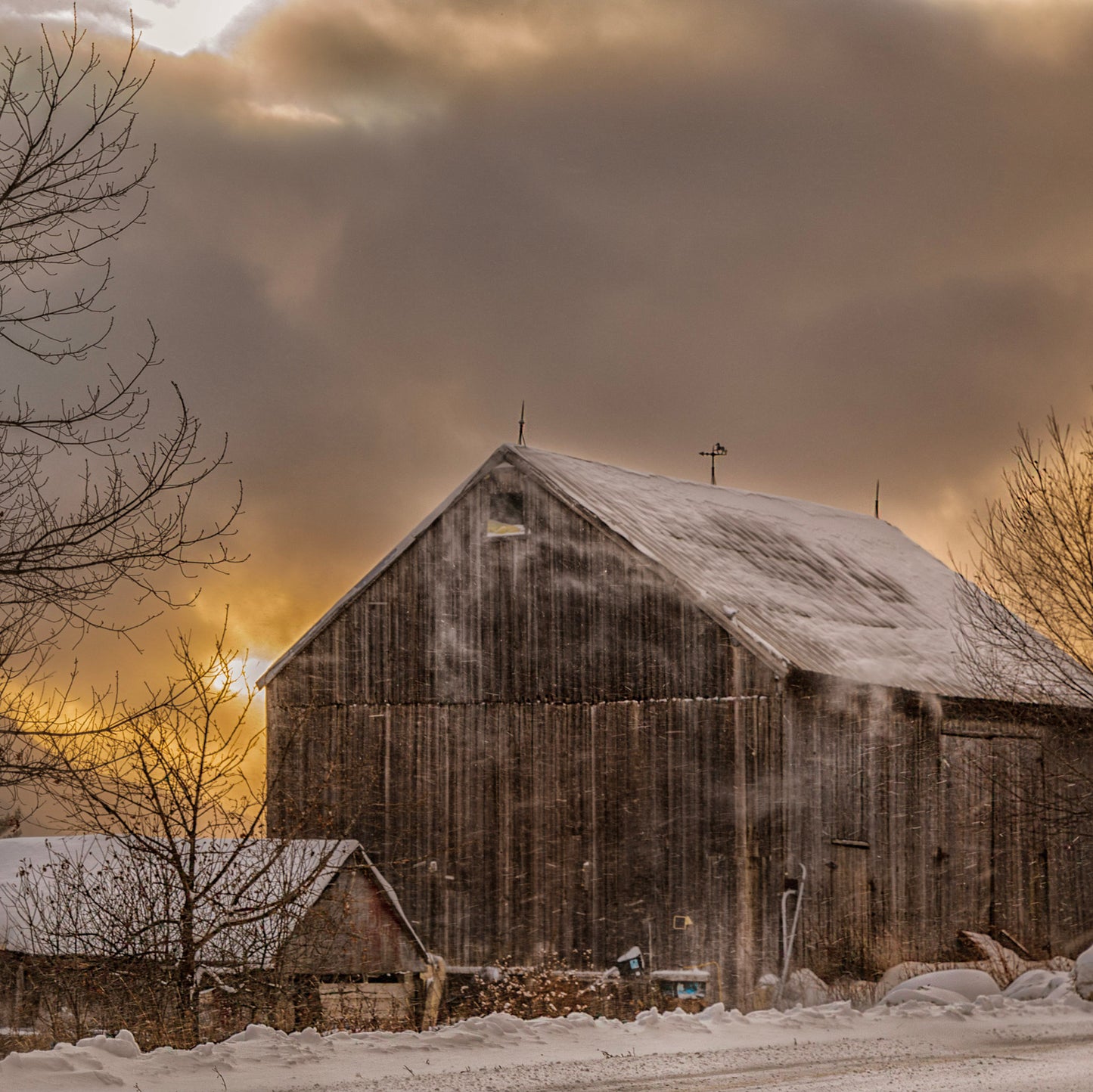 Belvidere Snow Squall #1