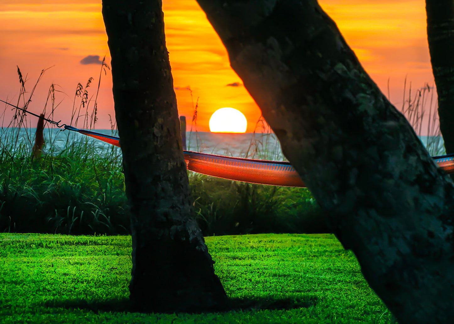 Hammock At Sunset