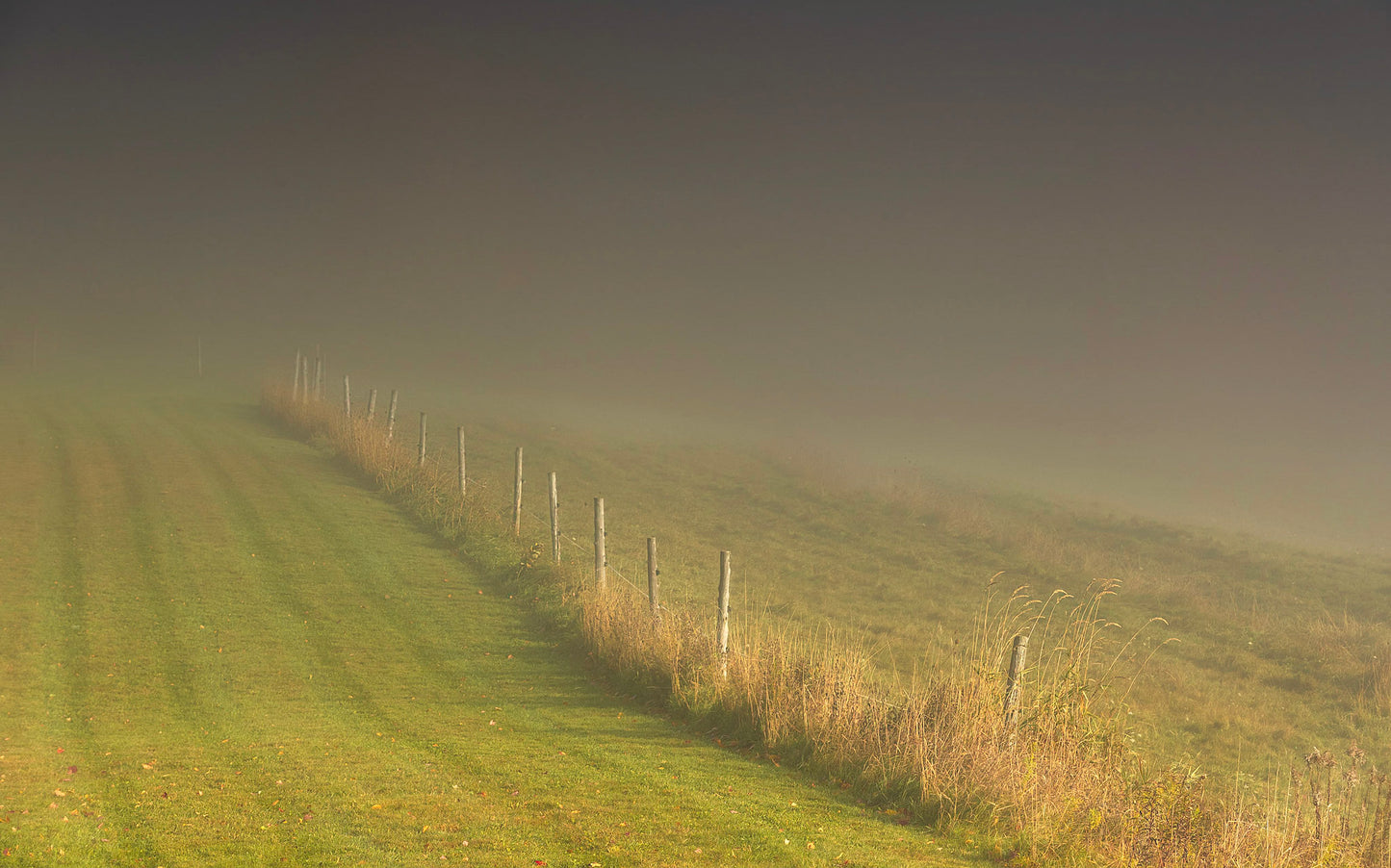 Fences In Fog