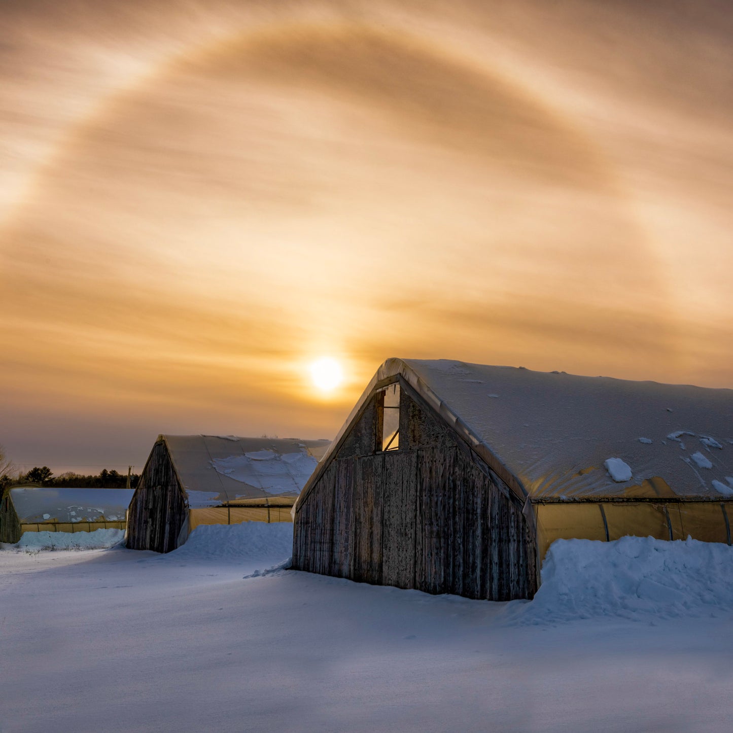 Greenhouses At Sunset
