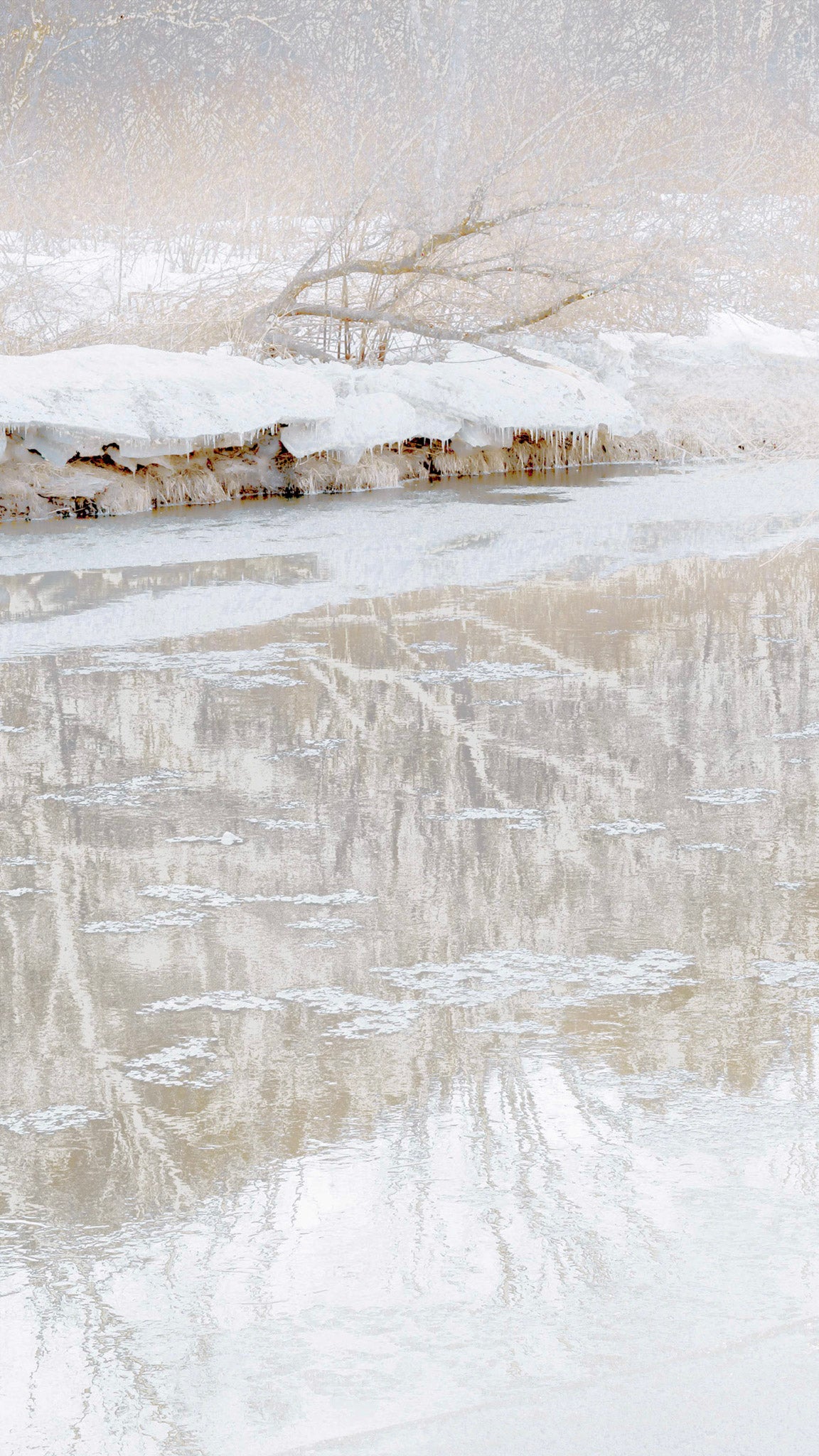 Moscow River In Winter