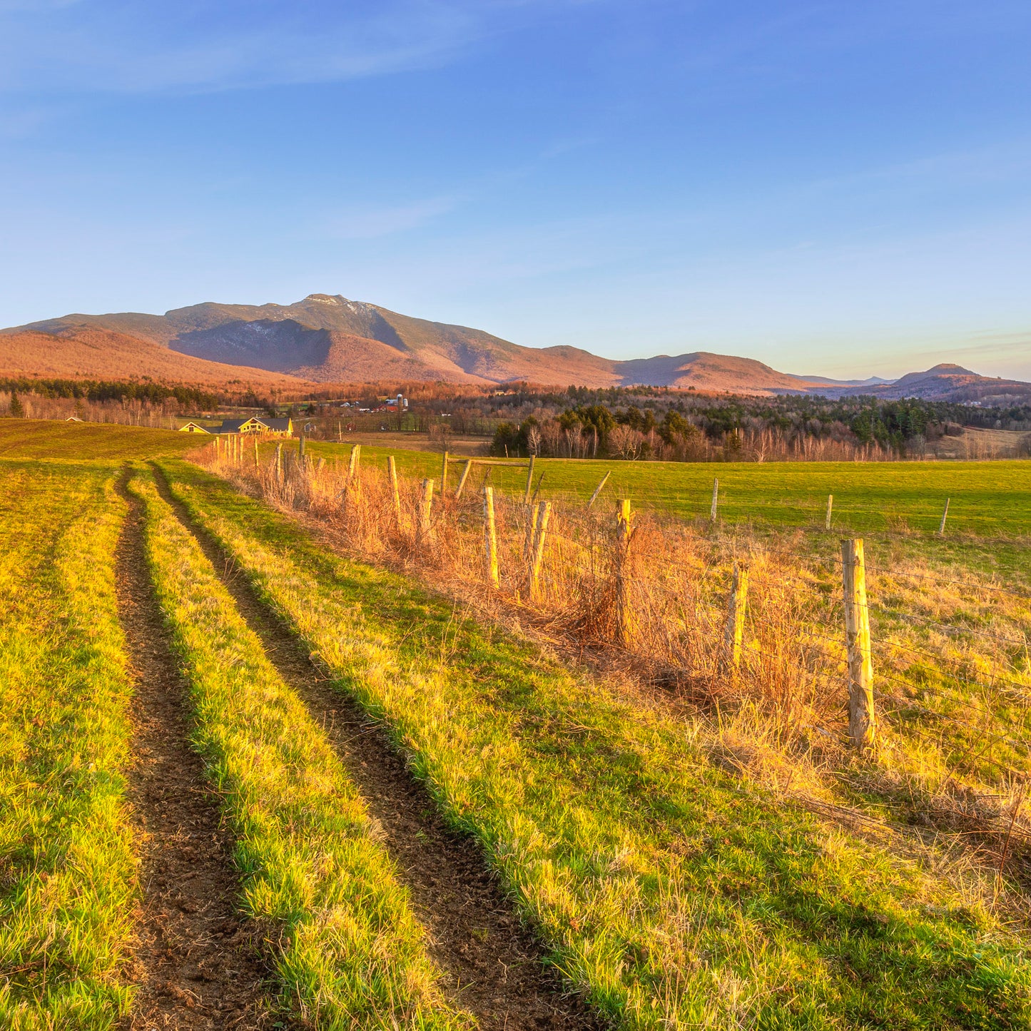 Mt Mansfield From Bryce Farm