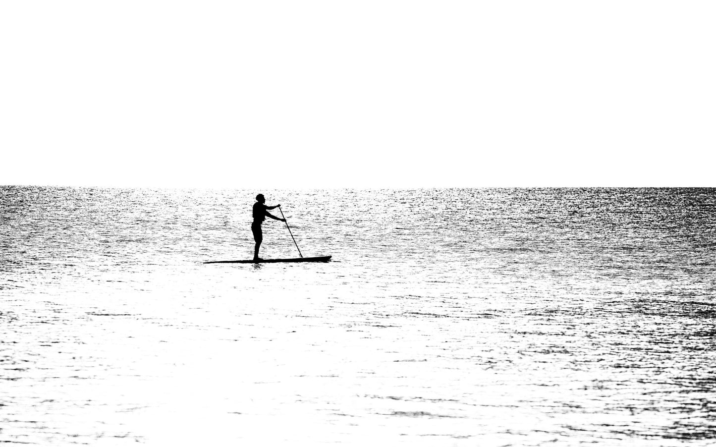 Paddleboarder