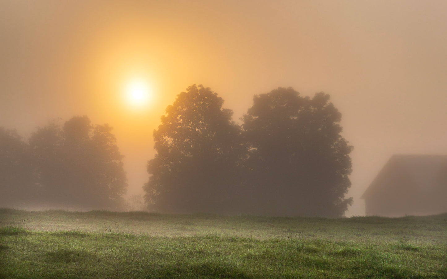 Spear Barn Foggy Sunrise