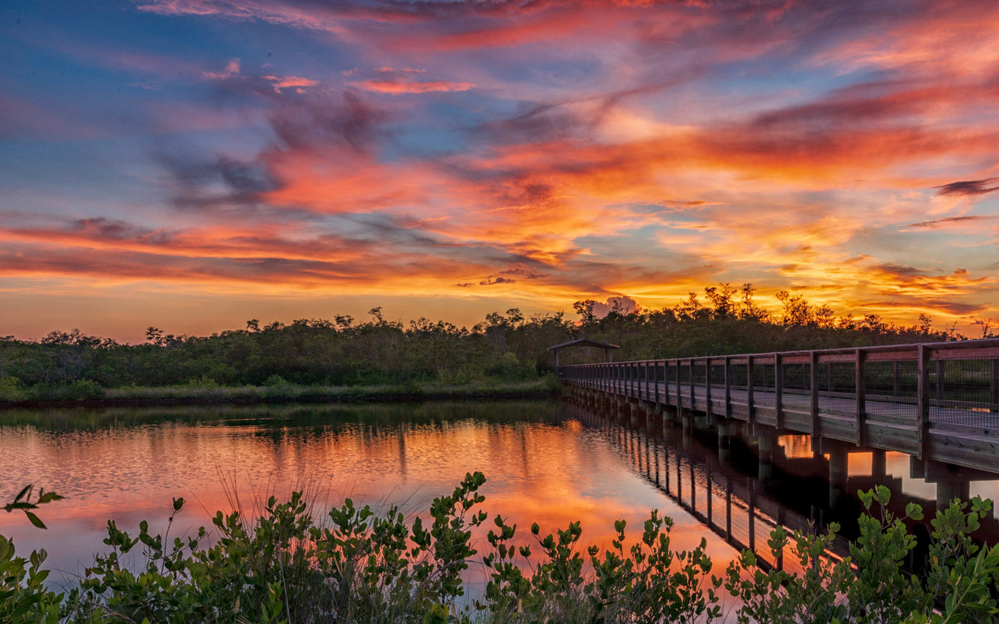 Twilight Over The Mangroves