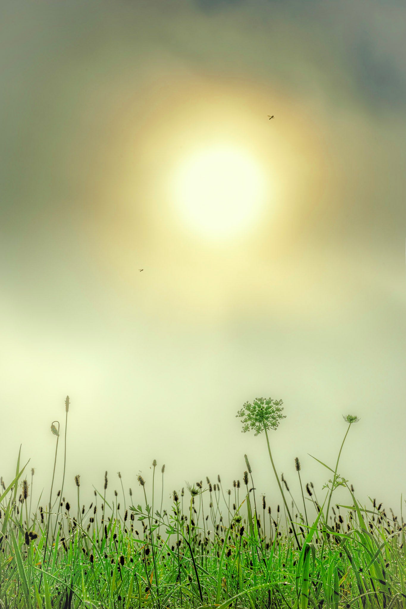 Early Morning Sunrise