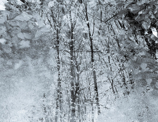 Frozen Pond Mosaic