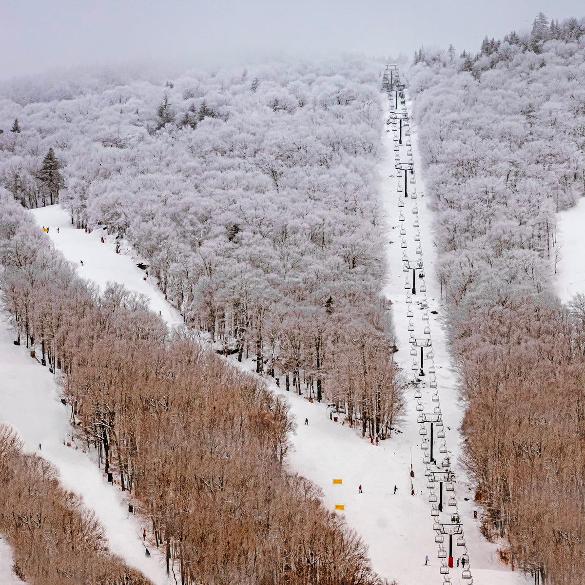 Aerial view of a snowy mountain ski area with a long lift line, ski slopes, and a forest covered in white snow and light brown branches under a misty sky.