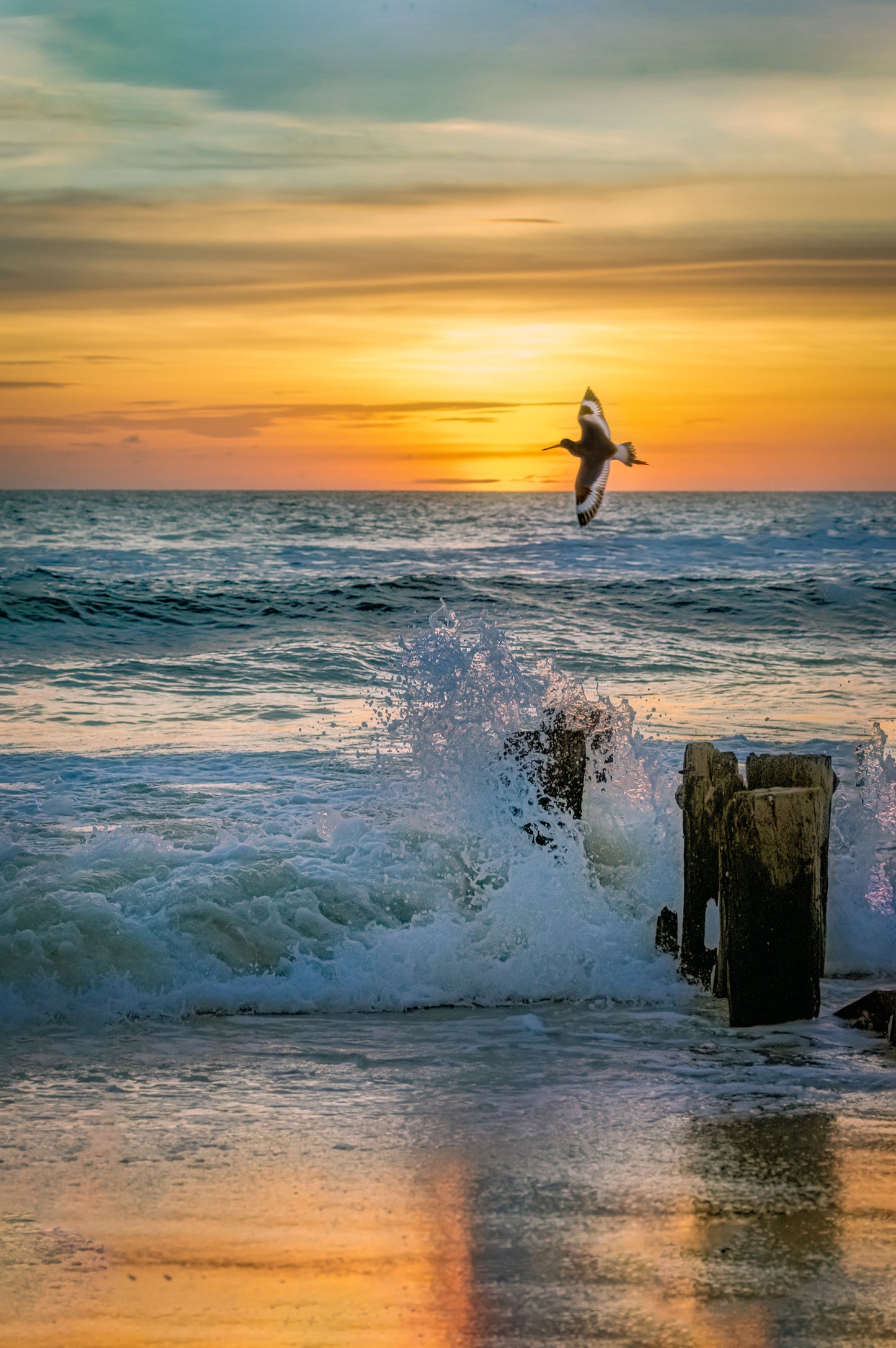A bird with wings spread wide flies over a powerful crashing wave at sunset in [Location], with golden spray and a glowing horizon.