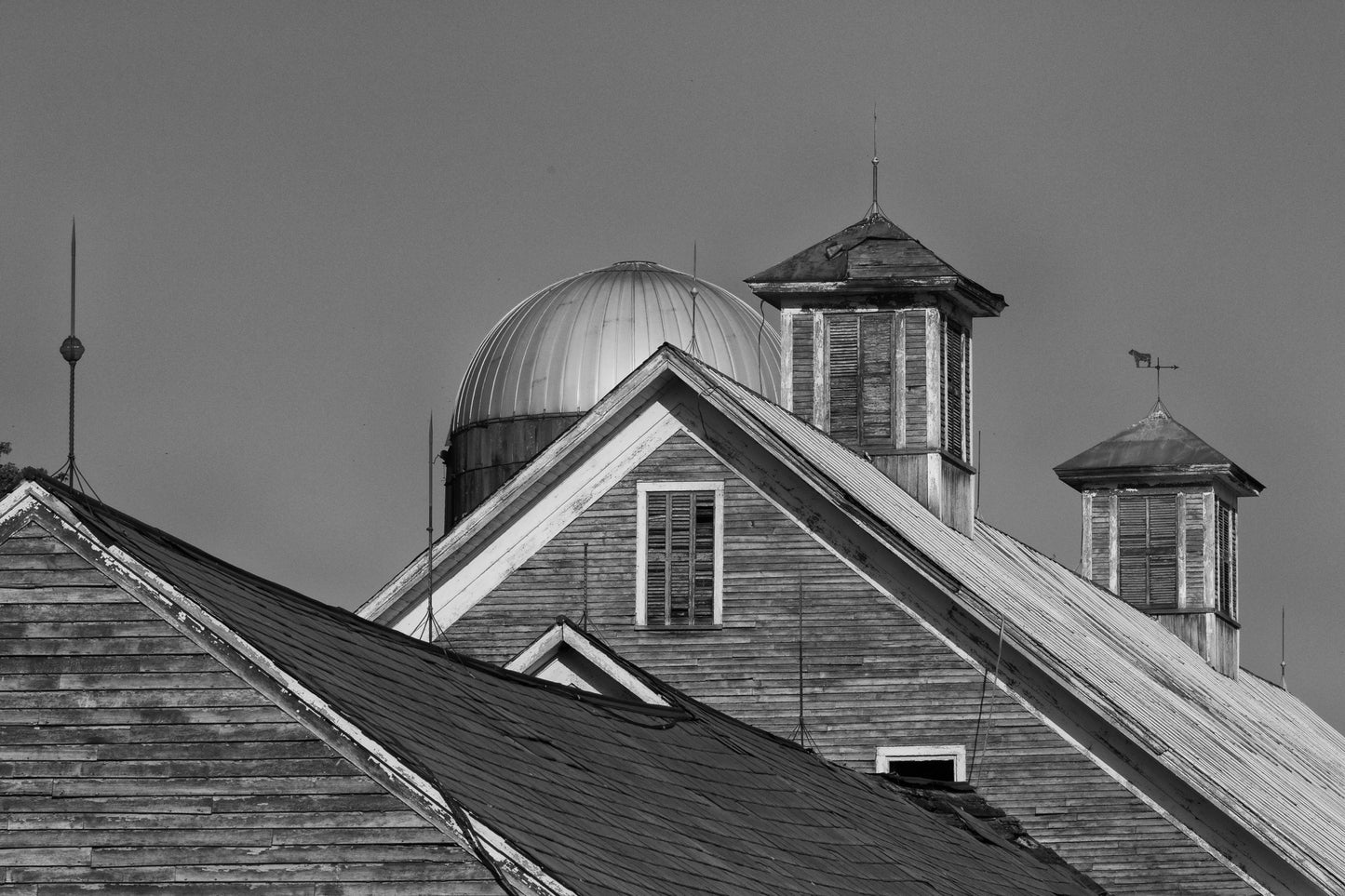 A detailed black and white shot of overlapping Vermont barn roofs featuring a silver silo dome, two cupola towers against a flat gray sky, weathered wood siding, and a traditional cow weather vane.
