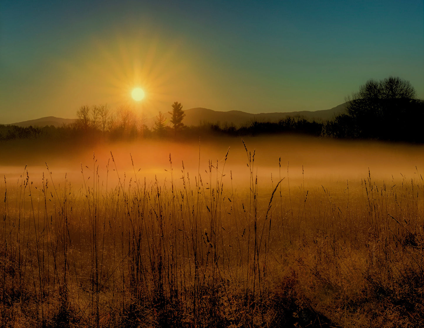 Foggy Field At Sunrise