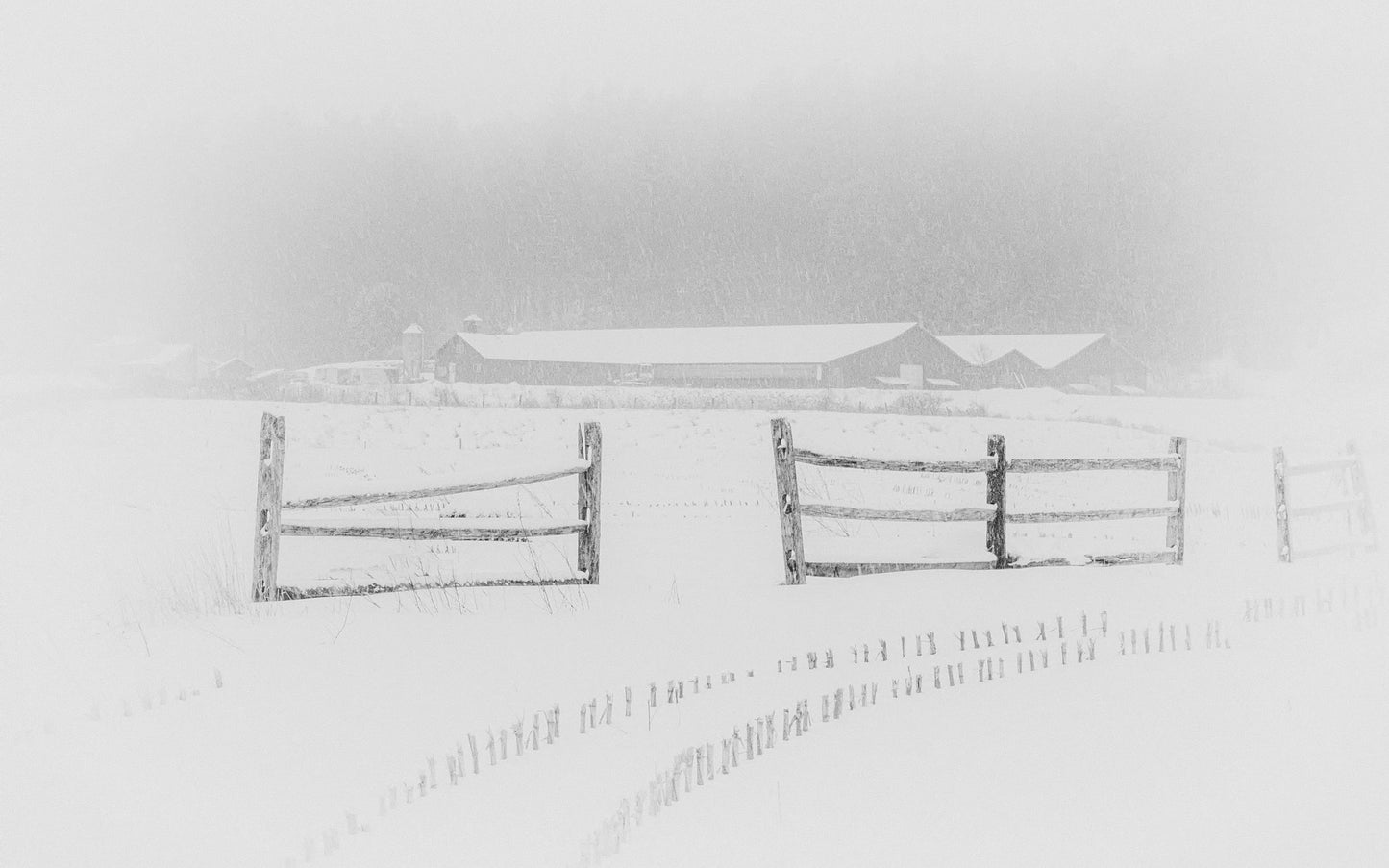 Percy Farm In Snow